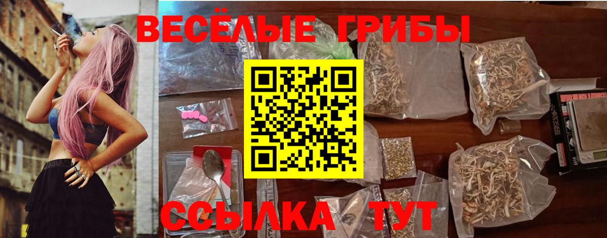 Губкин  Галлюциногенные грибы мицелий  Вход с VPN 